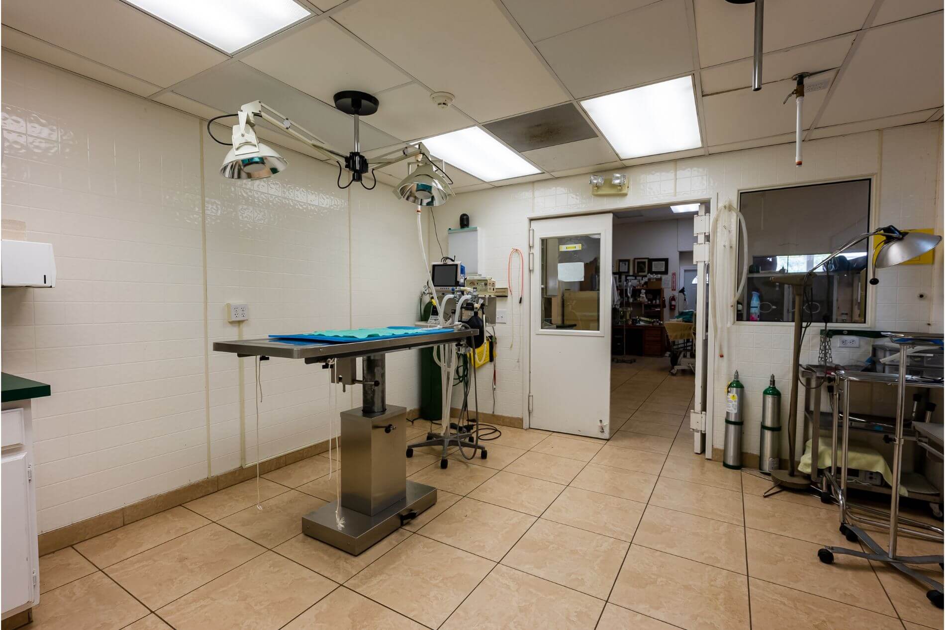 dr. domotor's animal hospital exam room